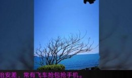 感觉在线观看,跟随感觉在线观看的视觉盛宴