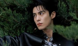 王鹤棣综艺爆料视频,揭秘娱乐圈幕后故事