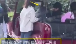 郑州爆料小三事件视频,真相与争议交织的婚外情风波